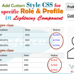 Adding a Custom Style CSS for Specific Role & Profile in Salesforce | how to apply CSS Style based on Specific Role/Profile in Salesforce lightning component